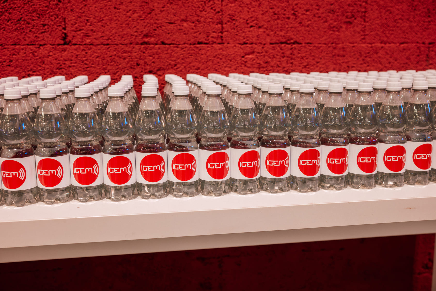 Screen-up 2026 - Sponsoring der IGEM